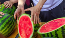 今日吃瓜的图片,揭秘娱乐圈最新热点事件