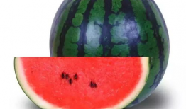 吃瓜51,网络热点的幕后故事